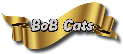 Best of Breed - Cats