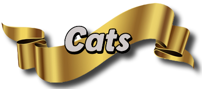 Top 25 Championship Cats
