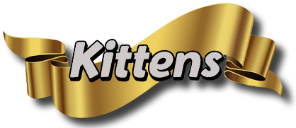 Top 25 Kittens